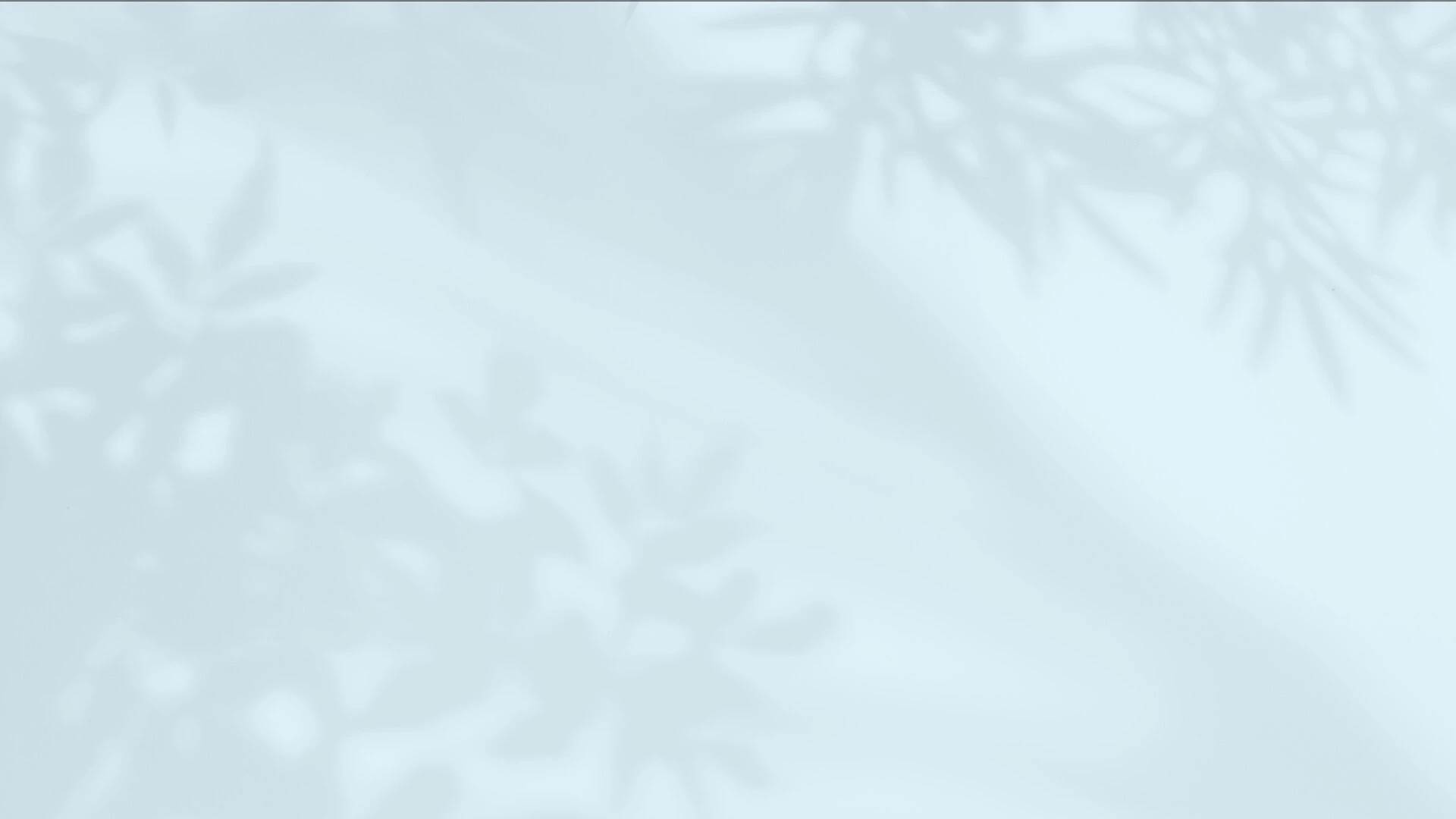 bg1.jpg